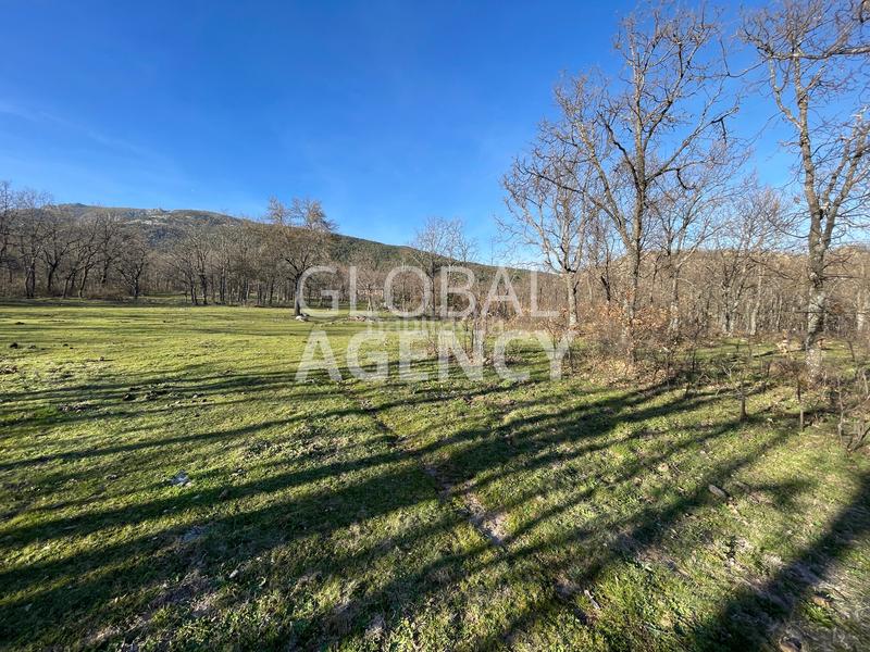 Foto 135b7e73-d1b1-4299-973e-30f7a42ba2ec. Finca rústica a Soto del Real