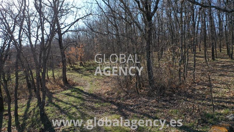 Foto 3104f45f-7385-45f9-97e8-9e724fa46faf. Finca rústica a Soto del Real