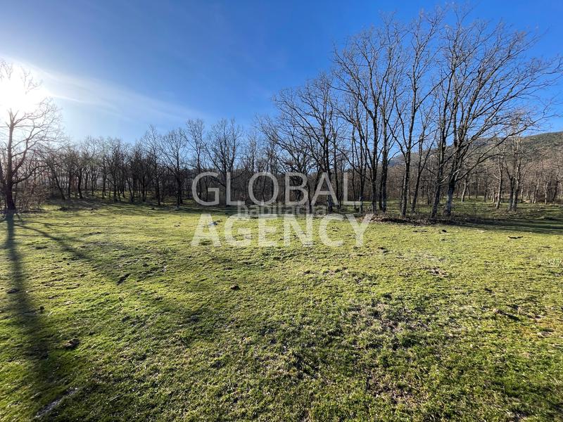 Foto 3ce4944c-e1ae-444d-aab0-a2ab8b962c68. Finca rústica a Soto del Real