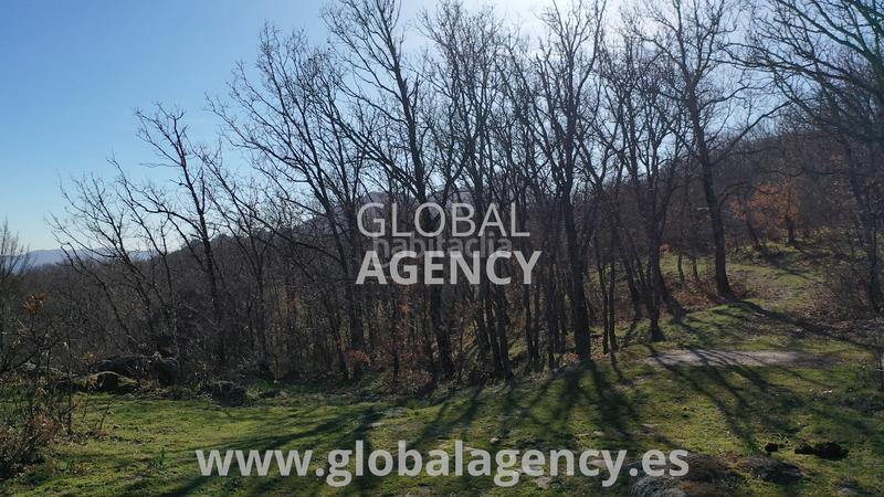 Foto 5e6c7350-b792-4061-9a93-61d1c44a5266. Finca rústica a Soto del Real