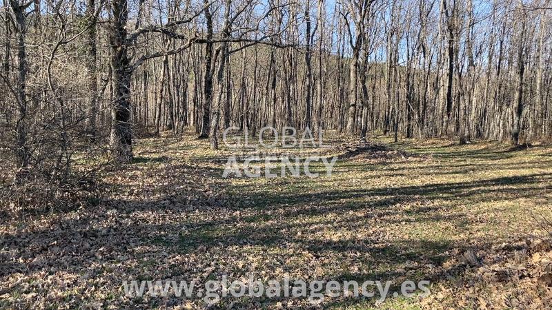 Foto 66e06ec9-c867-49da-b6e4-0f22c94164e4. Finca rústica a Soto del Real