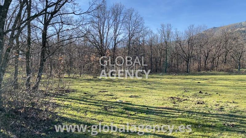 Foto f44583a3-8f26-49b8-9a11-d2a68293ff5f. Finca rústica a Soto del Real