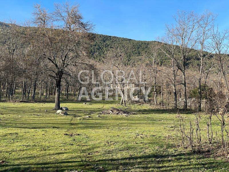 Foto 00c22c90-e0c8-41d7-82d1-c743f1abeb74. Finca rústica en Soto del Real