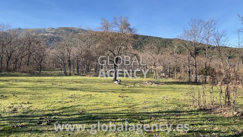 Foto 45355830-c605-4d09-89dc-1a6822cc05a0. Finca rústica en Soto del Real