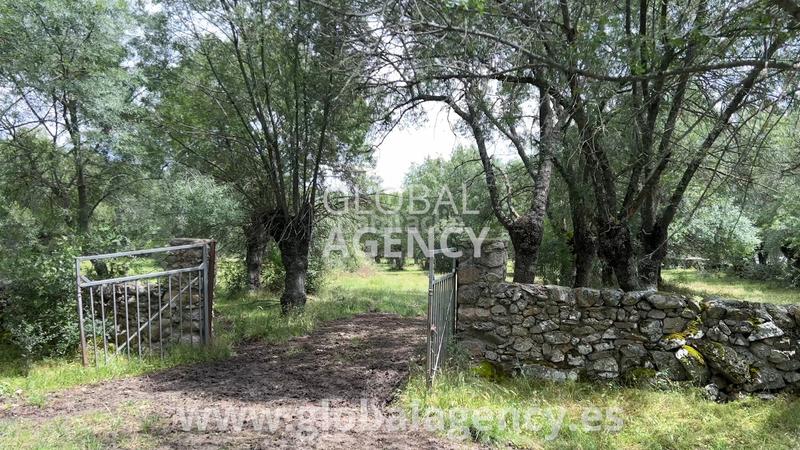 Foto 1276a0d4-cf6c-4585-bb6e-5144f72002a3. Propriété dans Soto del Real