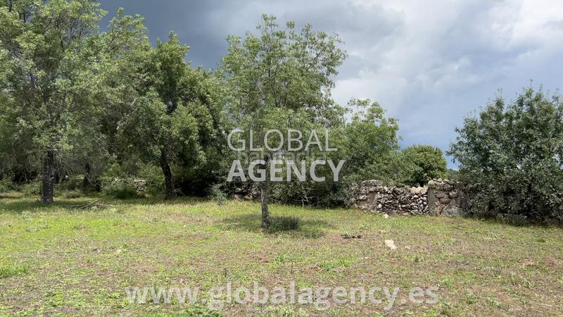 Foto 5c4dcce6-516d-4258-a818-3ed25582ba7c. Propriété dans Soto del Real