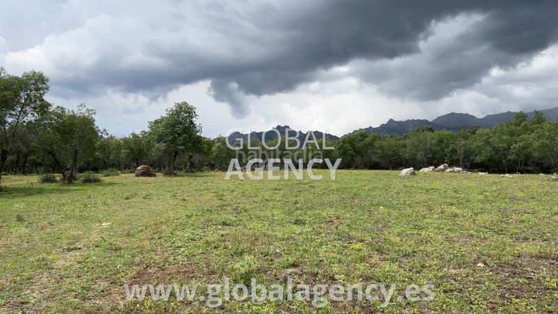 Foto 6d43376c-8c6f-4993-ba44-a1e86b98efef. Propriété dans Soto del Real