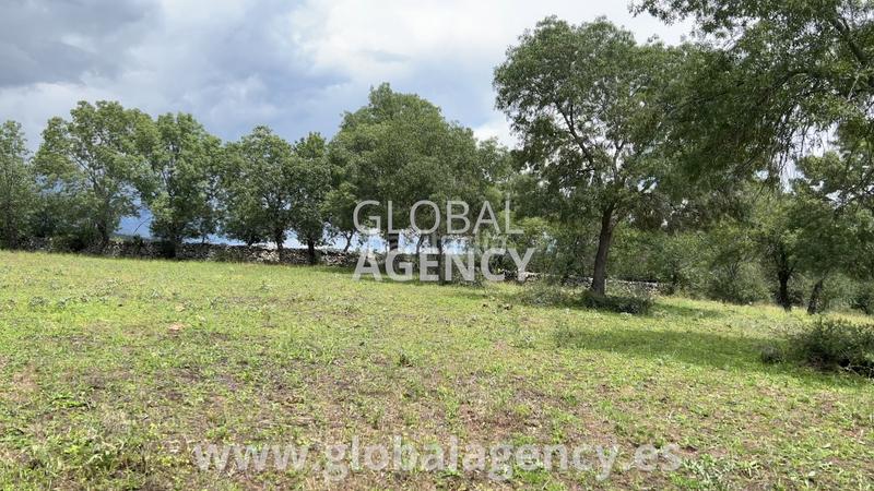 Foto 70eeaa86-c3f5-497b-a870-1516eece63c0. Propriété dans Soto del Real