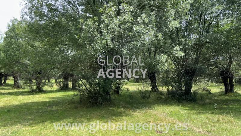 Foto 7b0e64b8-f721-409c-ba77-5b3693a1d04f. Propriété dans Soto del Real