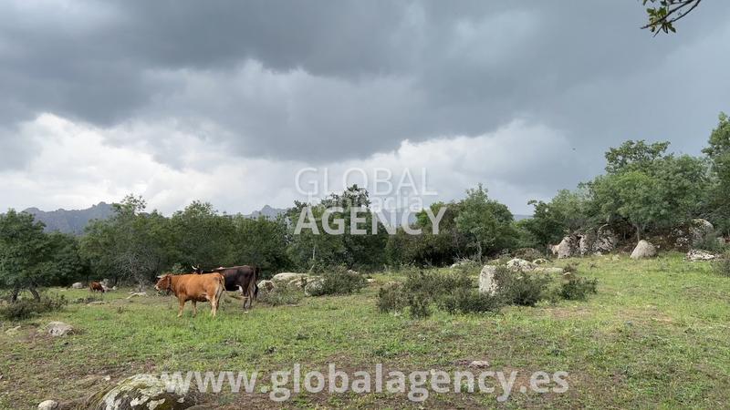 Foto c1619250-985b-409a-abcc-2e0988323735. Propriété dans Soto del Real