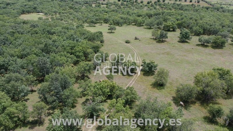 Foto c56d0570-435b-40b9-9e4e-11760cb508f6. Propriété dans Soto del Real