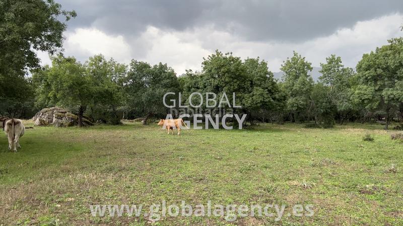 Foto c8cce60b-812a-4c77-9465-31c6cde4ca09. Propriété dans Soto del Real