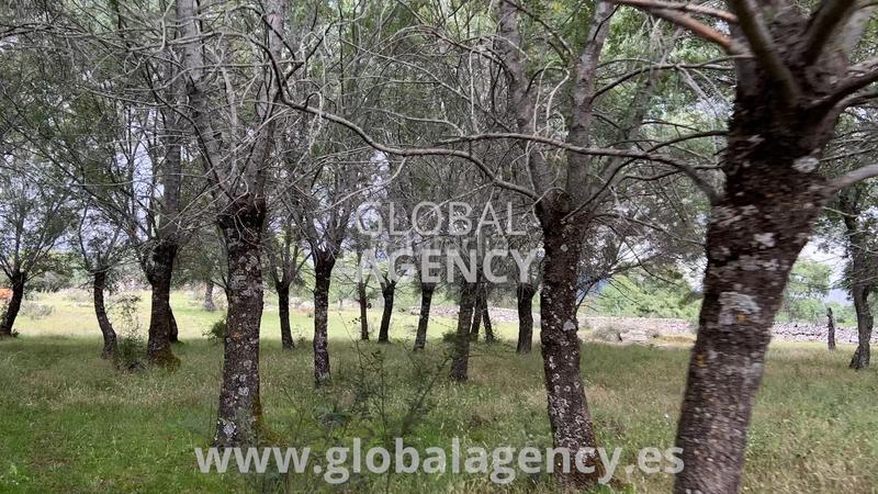 Foto e1914199-0aee-4647-83e0-eadbcd96d260. Propriété dans Soto del Real