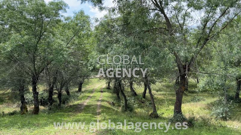 Foto e58595b7-b302-493c-afe1-91c5aa6be79a. Propriété dans Soto del Real