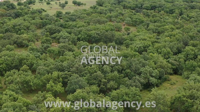 Foto e7316875-6ef1-4cd6-a0a2-bfa423eb8921. Propriété dans Soto del Real