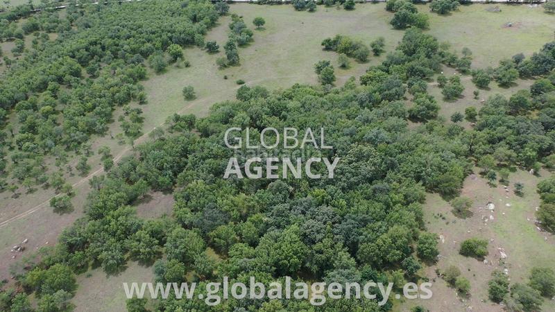 Foto fb24a2ae-edce-4c00-ad5d-cd316045dd10. Propriété dans Soto del Real