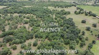 Rural plot in Soto del Real