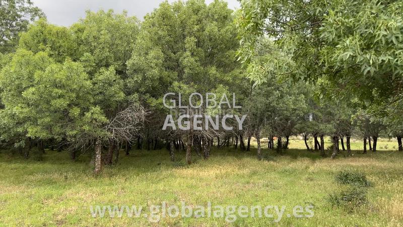 Foto 88028f1f-9aae-4b42-abb9-a0586fbd9daa. Finca rústica en Soto del Real