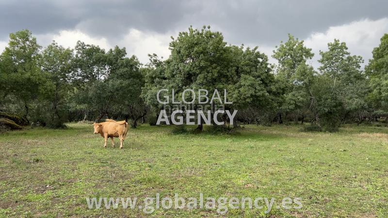 Foto a7d111de-82db-4f73-bca5-afc3b527843a. Finca rústica en Soto del Real