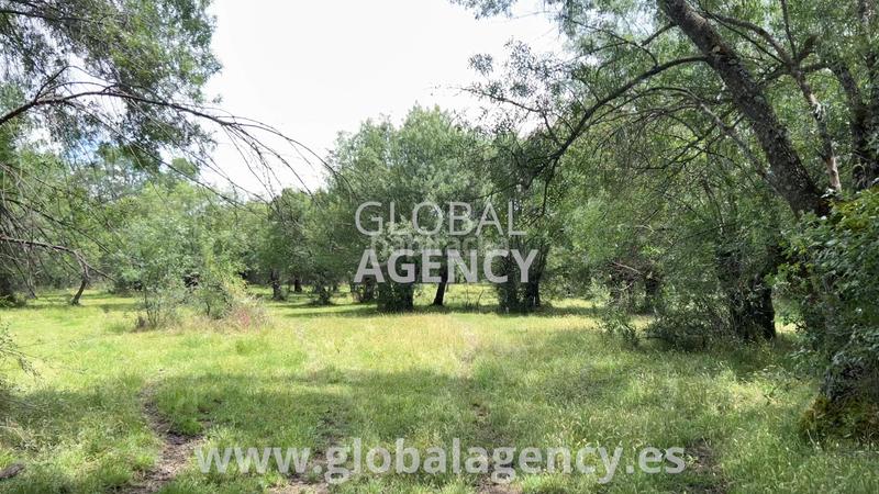 Foto eb440e3d-20b6-4b35-9ad4-1e1c5564b4b7. Finca rústica en Soto del Real