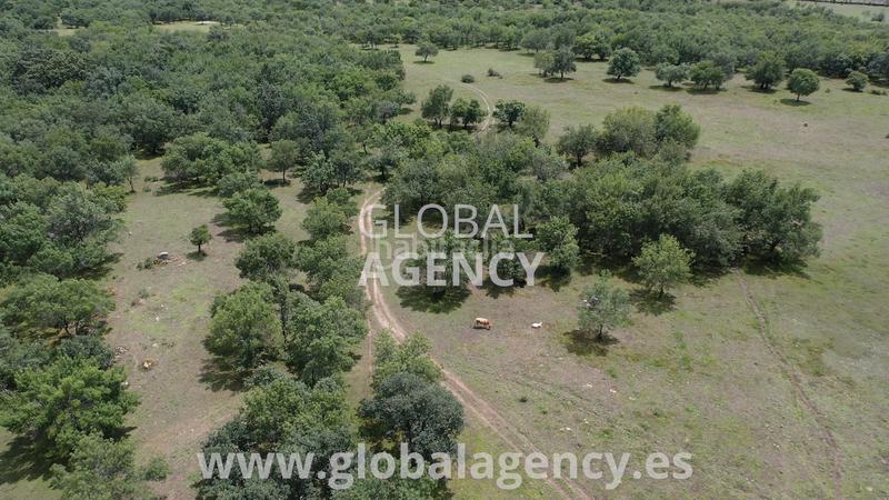 Foto f655e1d2-ca30-4fc5-bb7c-ad4bbe94670a. Finca rústica en Soto del Real