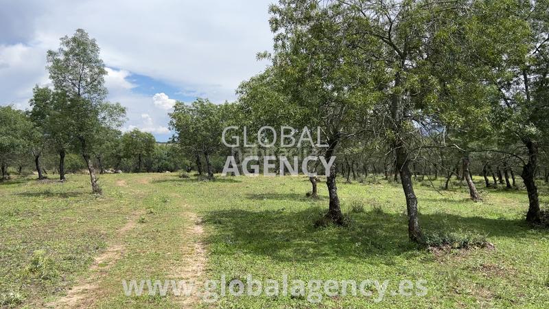 Foto ff752cb4-c2fc-455c-9c2a-f154522a08ab. Finca rústica en Soto del Real