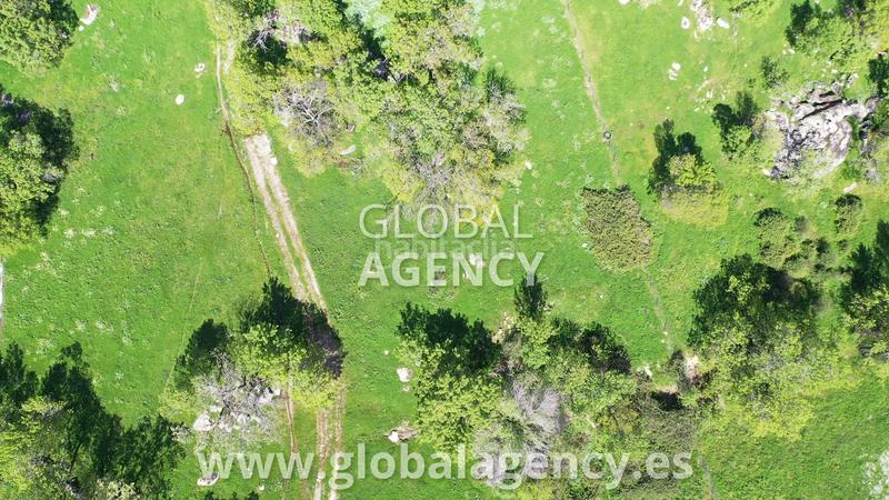 Foto c8cebfb9-2ebc-4dfc-bae3-d48e92c95b16. Bauernhof mit kamin heizung parking pool in Centro-Manguilla Escorial (El)