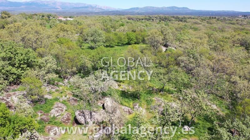 Foto 67c215b4-a7c3-4f65-9980-63023be8d8f5. Country house with fireplace heating parking pool in Escorial (El)