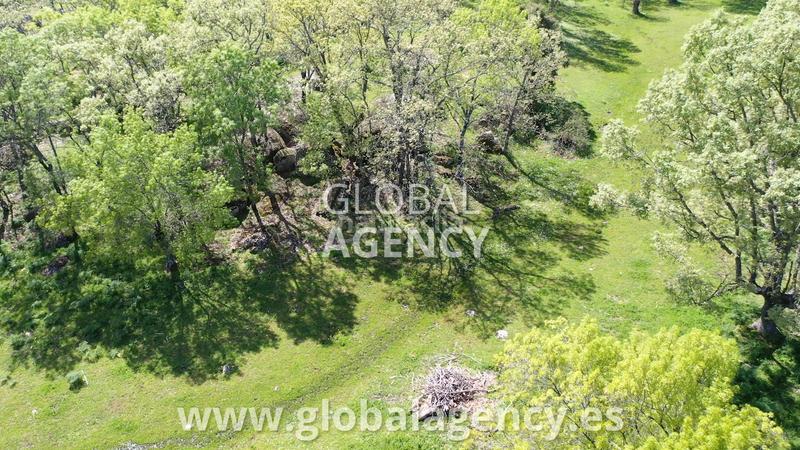 Foto aeee7111-5dcf-4795-8272-f25881c5bdd0. Country house with fireplace heating parking pool in Escorial (El)