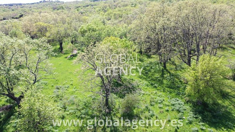 Foto 36fdf319-aa4f-4aef-8e83-2f2258096f16. Mas avec cheminée chauffage parking piscine dans Centro-Manguilla Escorial (El)