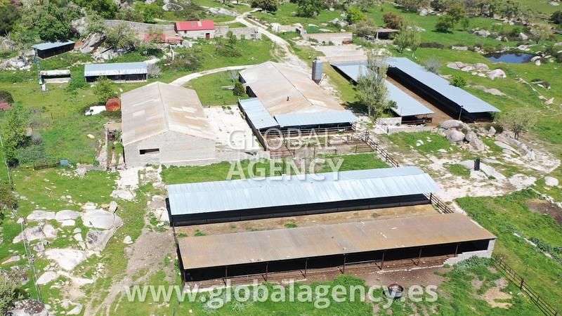 Foto 4485d157-e27d-42d5-8fdd-f0dbc949fbcc. Mas avec cheminée chauffage parking piscine dans Centro-Manguilla Escorial (El)