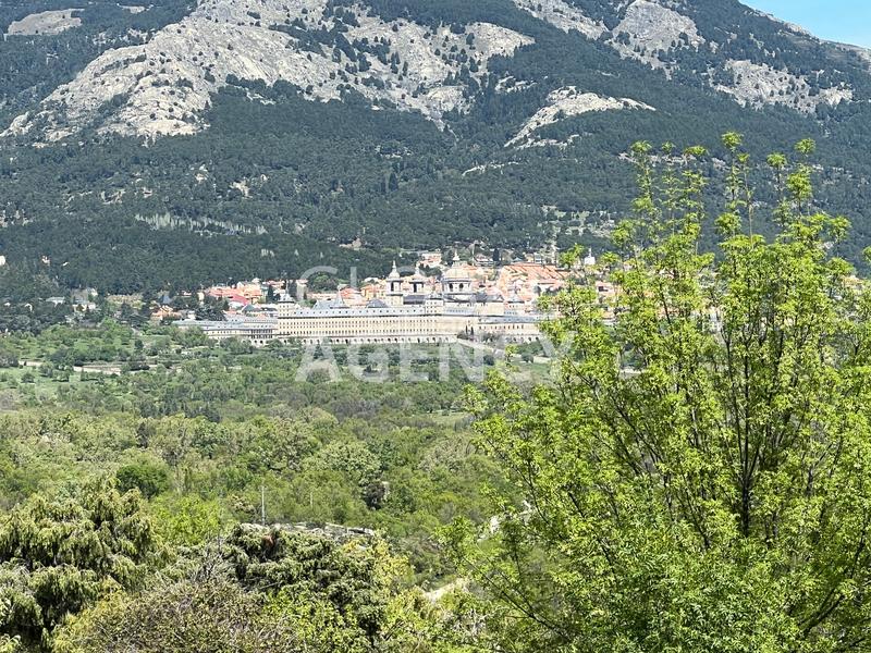 Foto 46009f9a-0798-4c13-928a-0cb818597941. Rural plot in Centro-Manguilla Escorial (El)