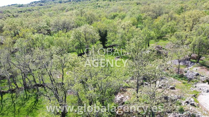 Foto 4785ec28-0b3d-4d64-aedd-7b91915a8b0f. Rural plot in Centro-Manguilla Escorial (El)