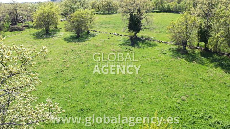 Foto c57a11c0-5214-421c-a3ee-747f7e7ef536. Rural plot in Centro-Manguilla Escorial (El)