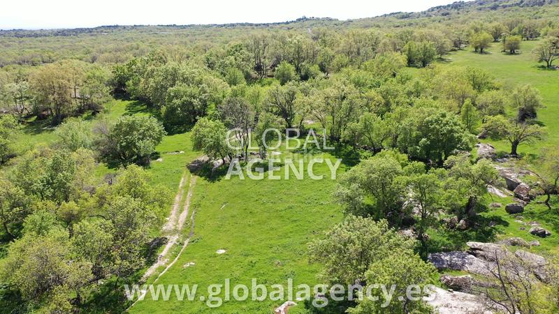 Foto 7a7a1a22-d6d0-4186-985c-8a933e51a6ce. Finca rústica a Centro-Manguilla Escorial (El)