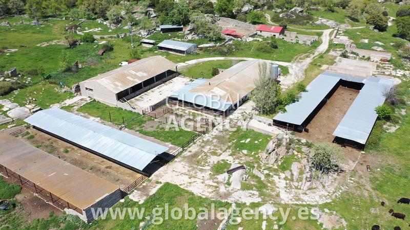 Foto d6252aad-a923-4ee9-9f40-b0012cf27504. Finca rústica a Centro-Manguilla Escorial (El)