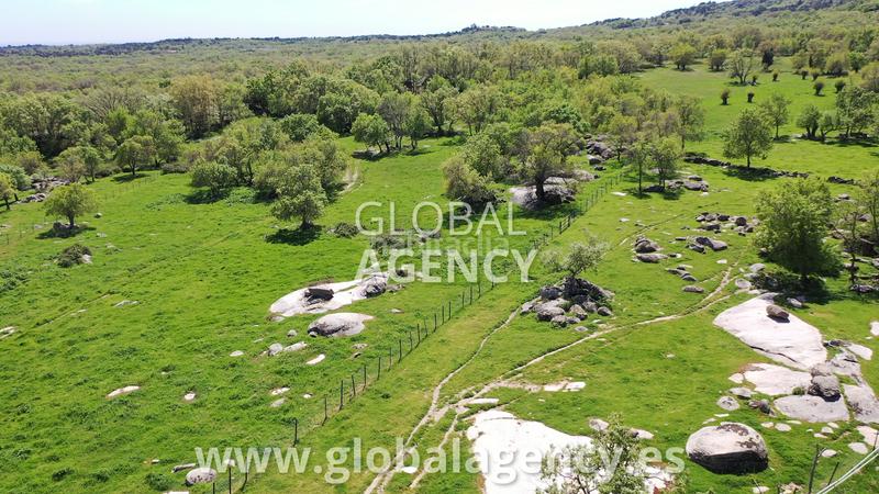 Foto 0a4efa71-5147-41b9-885a-cbb29f4d333f. Finca rústica en Centro-Manguilla Escorial (El)