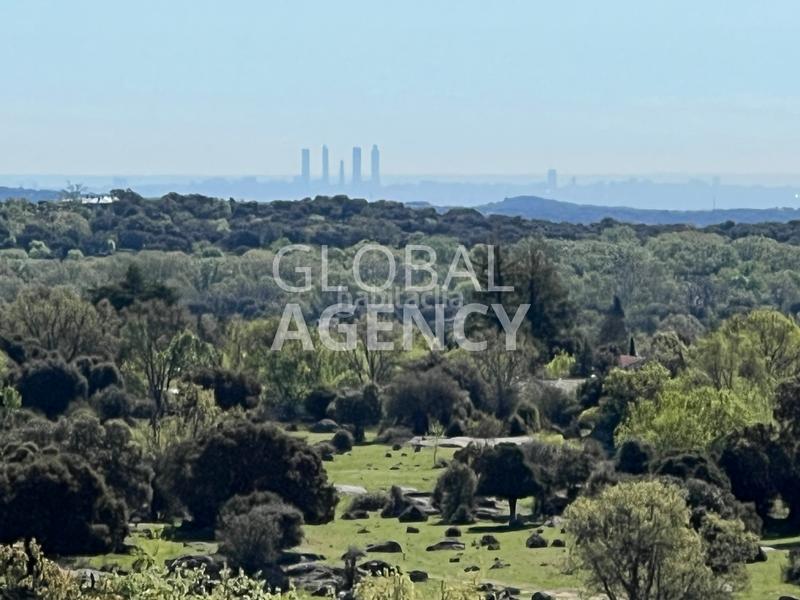 Foto 522e9da4-46d0-49e9-a7df-7c1bd63abaae. Finca rústica en Centro-Manguilla Escorial (El)