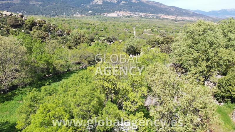 Foto d9301da4-b987-4bfe-8cbd-4d118ed14cb1. Finca rústica en Centro-Manguilla Escorial (El)