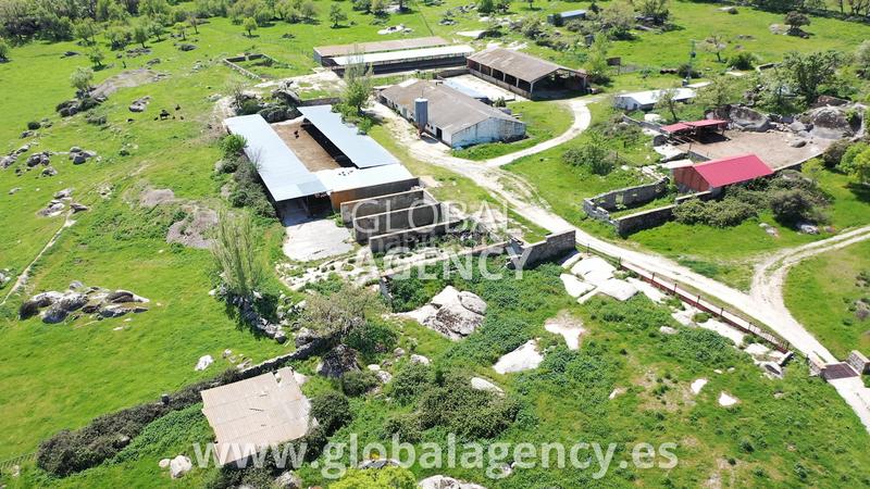 Foto d9f3a156-a759-4098-98b7-bd727d14acb8. Finca rústica en Centro-Manguilla Escorial (El)