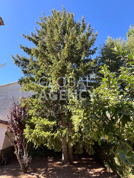 Foto 4c1867ba-c6b7-41aa-9d8a-f7ebd1f2140b. Chalet avec cheminée chauffage parking dans Herradón de Pinares