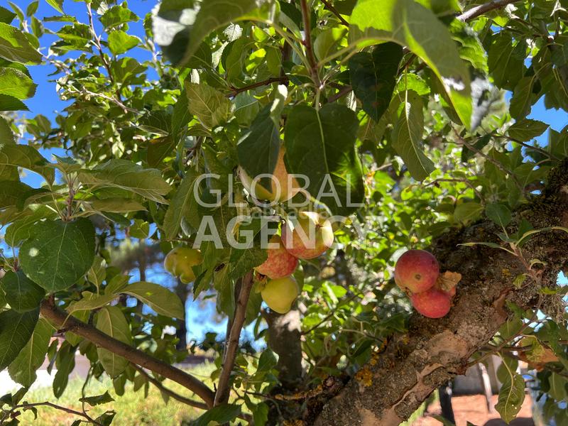 Foto a4e2df24-0825-41d2-ae16-2a2cd82f42fa. Chalet avec cheminée chauffage parking dans Herradón de Pinares