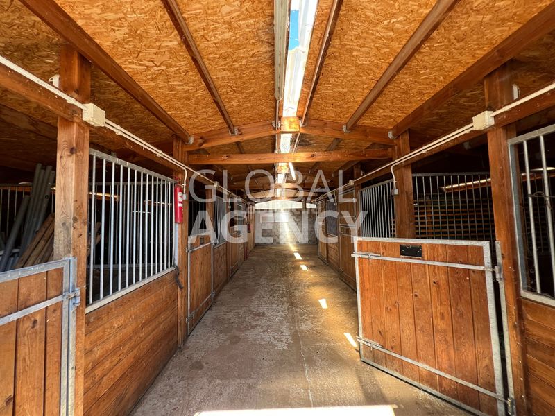 Foto d9faaa5d-1688-421d-a088-3c3814d51932. Finca rústica a Villalba Estación Collado Villalba
