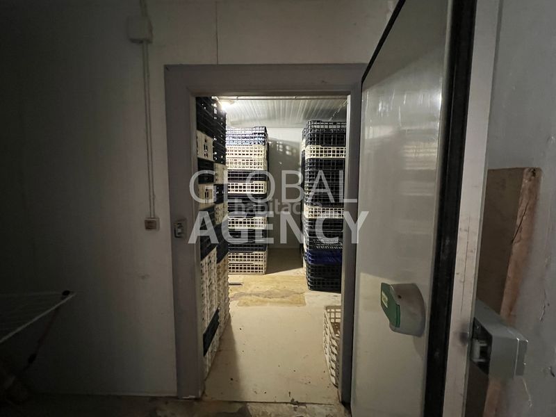 Foto 2a419358-af6f-4e17-b807-fa8149e6b683. Building in El Viso Madrid