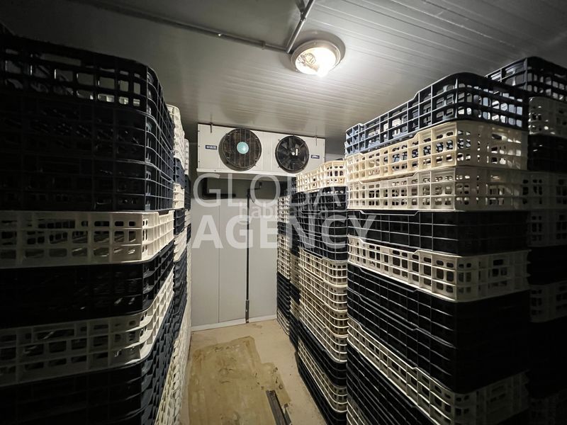 Foto ce42b6af-4201-4794-8b11-ed0c951a0562. Building in El Viso Madrid