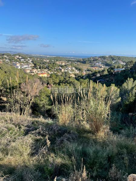 Foto 09328574-c275-49c8-abc8-584cec2cde53. Terreny residencial a costa Cunit - els jardins - els rosers Cunit