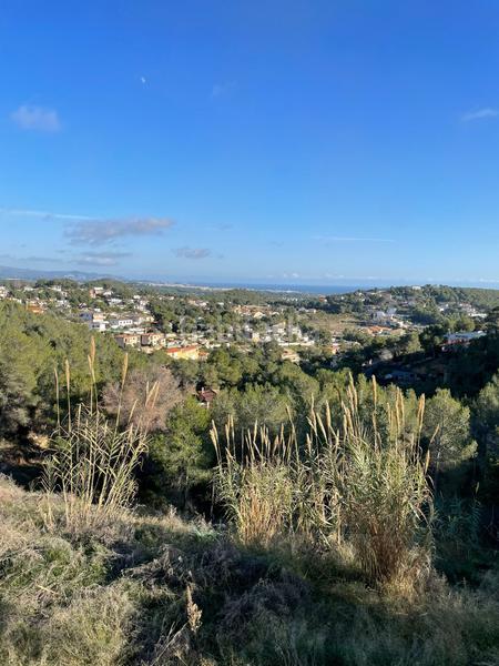 Foto 0ca8ebe2-5a67-445d-a836-0b896cd9c692. Terreny residencial a costa Cunit - els jardins - els rosers Cunit