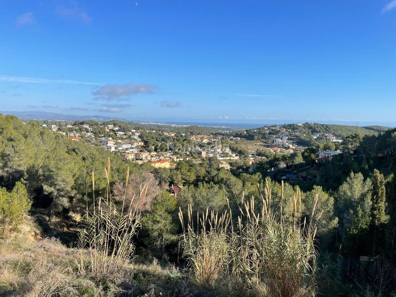 Foto 25cff1de-783f-413c-9b00-29f55bc14503. Terreny residencial a costa Cunit - els jardins - els rosers Cunit