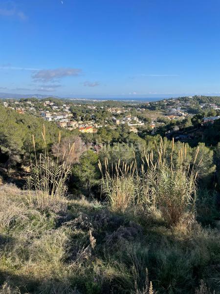 Foto 29cad56a-bfa5-4907-831c-6d41b04c6dc8. Terreny residencial a costa Cunit - els jardins - els rosers Cunit