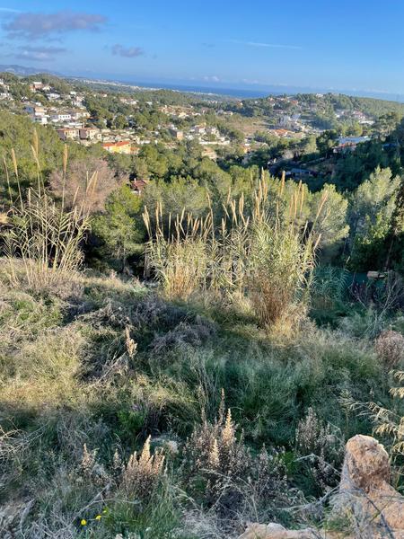 Foto cf490753-c389-4b2e-b978-92f16d92a31c. Terreny residencial a costa Cunit - els jardins - els rosers Cunit